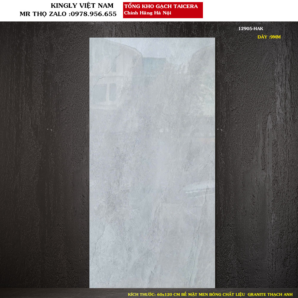 Gạch Granite Taicera 60x120 cm 12905 Loại 1